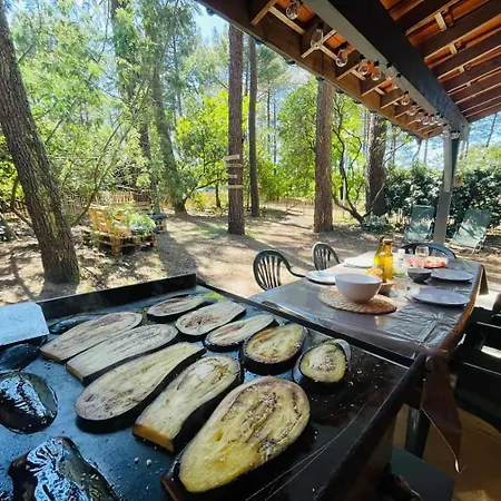 Le Des Pins, Entre Et Océan Casa vacanze Lacanau