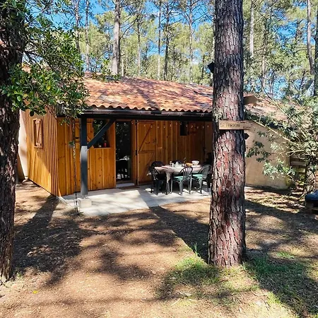 Le Des Pins, Maison Renovee A Ocean Semesterbostad *