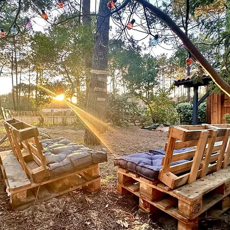 Casa vacanze Le Des Pins, Entre Et Océan Lacanau